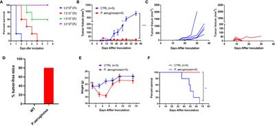 P. aeruginosa Mediated Necroptosis in Mouse Tumor Cells Induces Long-Lasting Systemic Antitumor Immunity